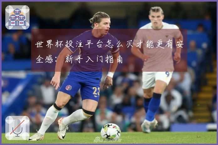 世界杯投注平台怎么买才能更有安全感：新手入门指南