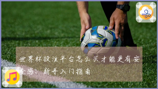世界杯投注平台怎么买才能更有安全感：新手入门指南