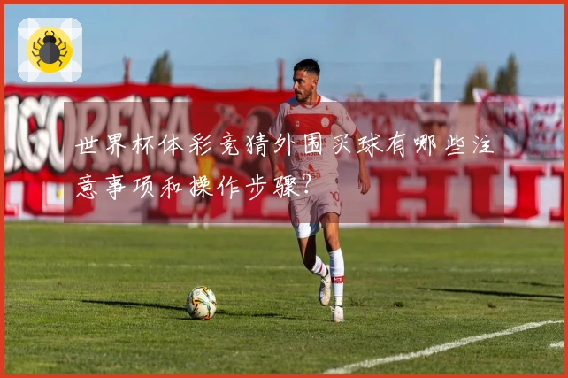 世界杯体彩竞猜外围买球有哪些注意事项和操作步骤？
