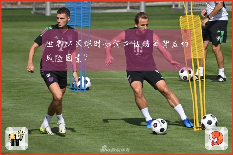 世界杯买球时如何评估赔率背后的风险因素？